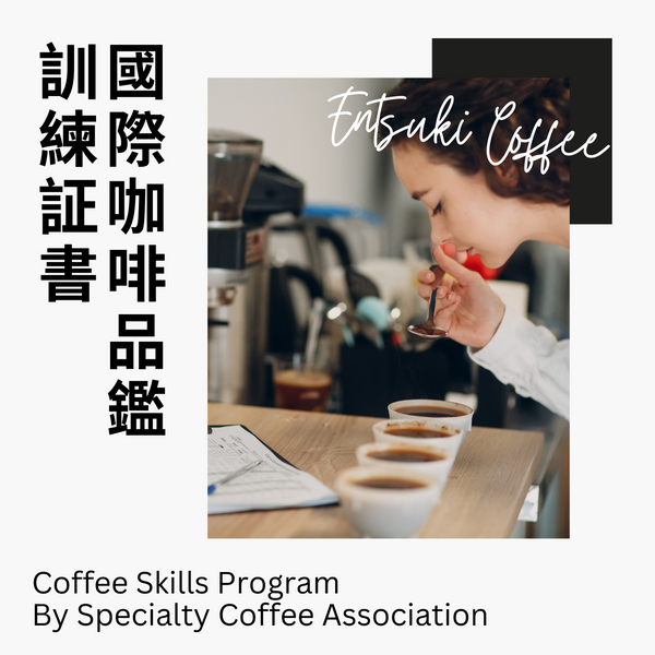 SCA Sensory Skills Foundation 國際咖啡品鑑訓練基礎証書課程
