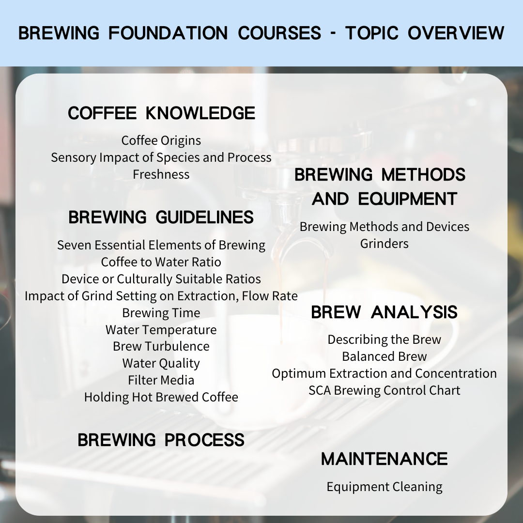 SCA Brewing Foundation Specialty Coffee Association International Certificate Course Hand-brewed Coffee Fundamentals Certificate Course