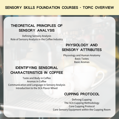 SCA Sensory Skills Foundation International Coffee Tasting Training Basic Certificate Course