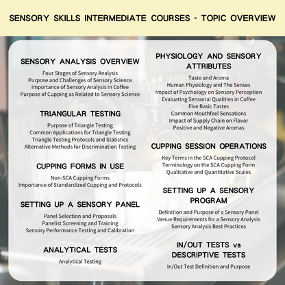 SCA Sensory Skills Intermediate International Coffee Tasting Training Intermediate Certificate Course