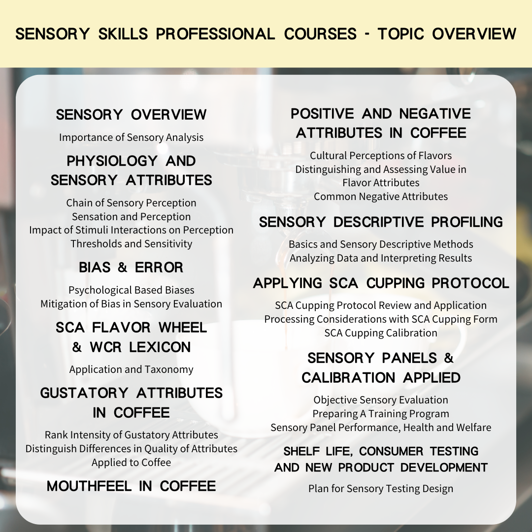 SCA Sensory Skills Professional International Coffee Tasting Training Professional Certificate Course