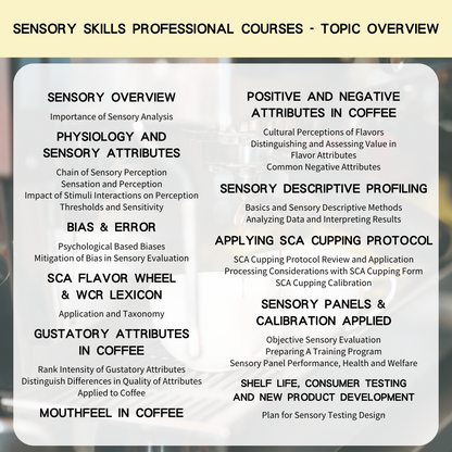 SCA Sensory Skills Professional International Coffee Tasting Training Professional Certificate Course