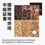 SCA Roasting Intermediate 國際咖啡烘焙中級証書課程
