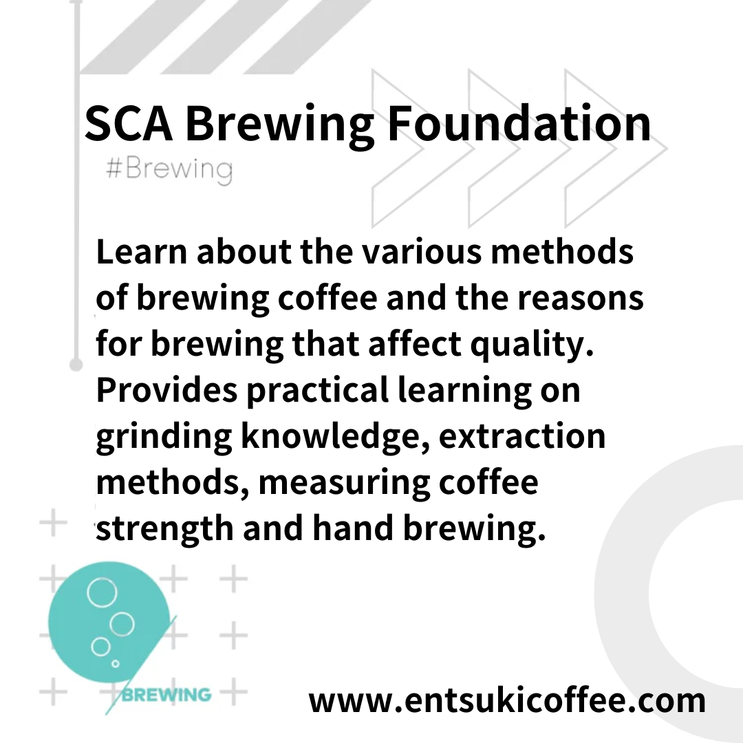 SCA Brewing Foundation Specialty Coffee Association International Certificate Course Hand-brewed Coffee Fundamentals Certificate Course