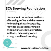 SCA Brewing Foundation 精品咖啡協會國際証書課程 手沖咖啡基礎証書課程