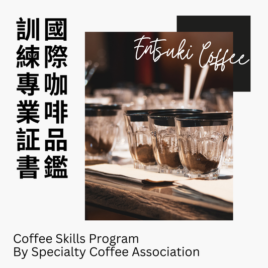 SCA Sensory Skills Professional International Coffee Tasting Training Professional Certificate Course