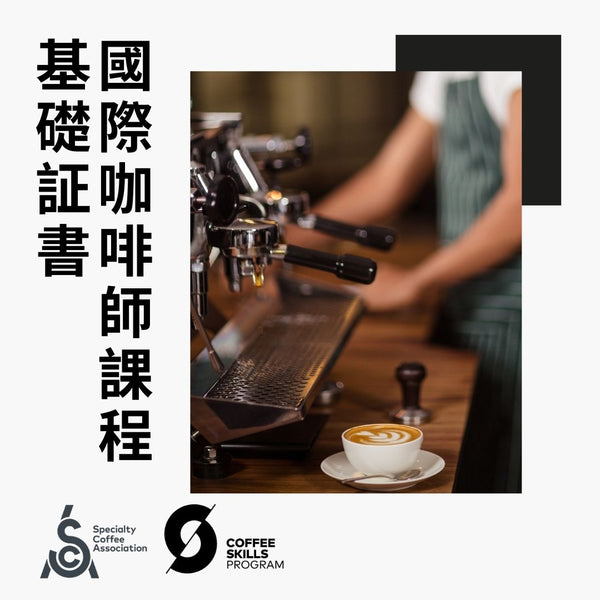 SCA Barista Skills Foundation 精品咖啡協會國際証書課程 咖啡師技能基礎証書（濃縮咖啡）